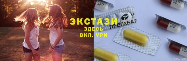 стаф Гусев