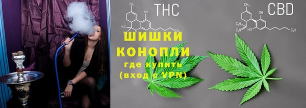 эйфоретик Гусиноозёрск