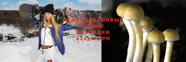 эйфоретик Гусиноозёрск