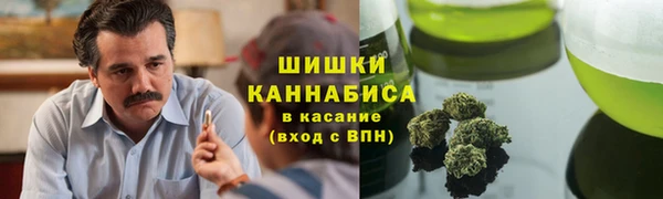 эйфоретик Гусиноозёрск