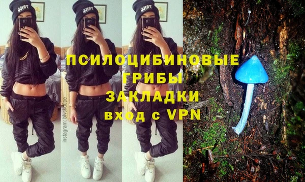 эйфоретик Гусиноозёрск