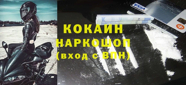 стаф Гусев