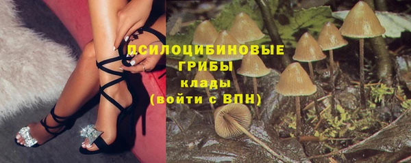 эйфоретик Гусиноозёрск