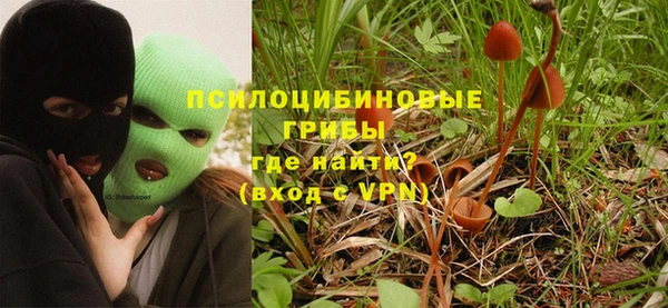 эйфоретик Гусиноозёрск
