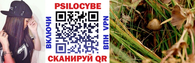 Псилоцибиновые грибы прущие грибы наркошоп blacksprut ТОР Шагонар