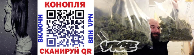 Марихуана ГИДРОПОН  блэк спрут ССЫЛКА  Шагонар 